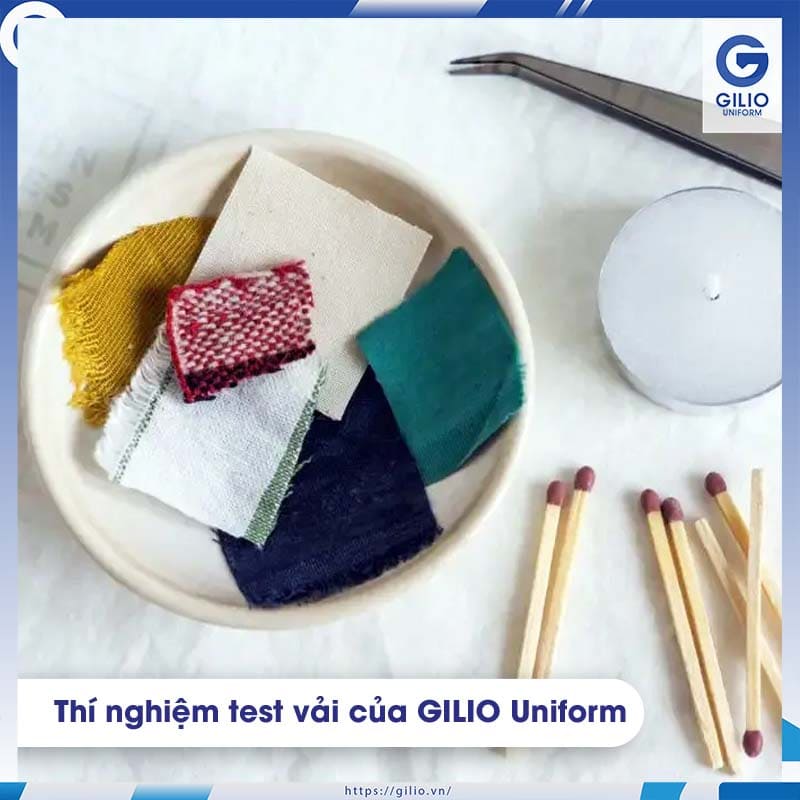 áo thun cá sấu giá rẻ